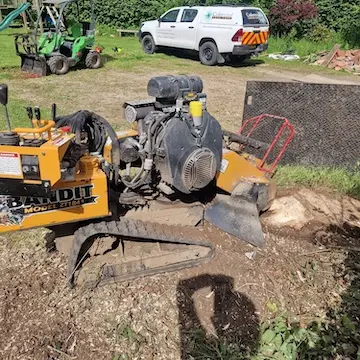 stump grinding